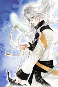 DC家的骑士